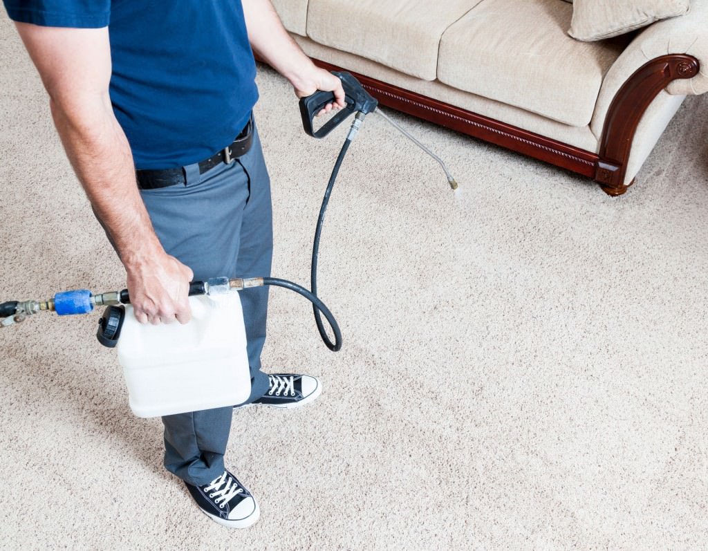 Sacramento Carpet Cleaning Protection Artistic Associates