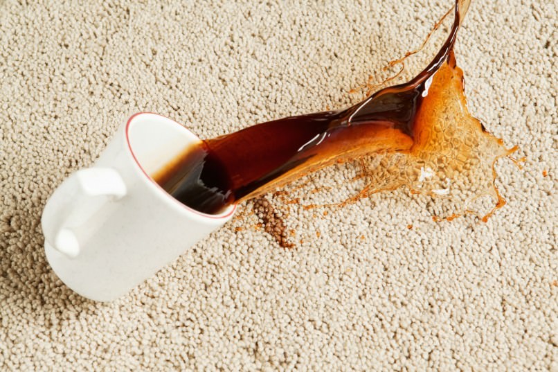 Carpet Food or Drink Spill Spotting Tip
